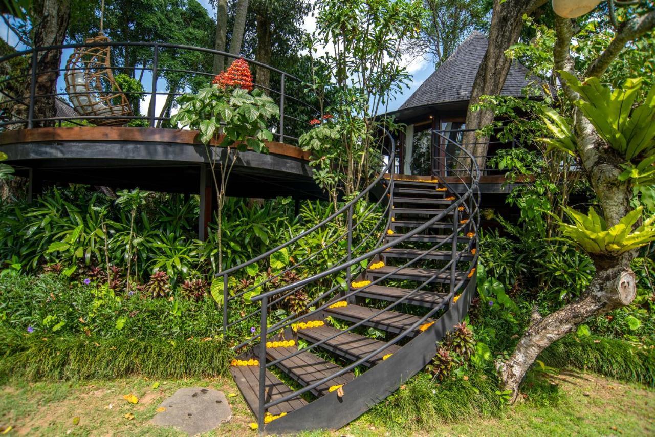 Green Tree House Ubud Esterno foto