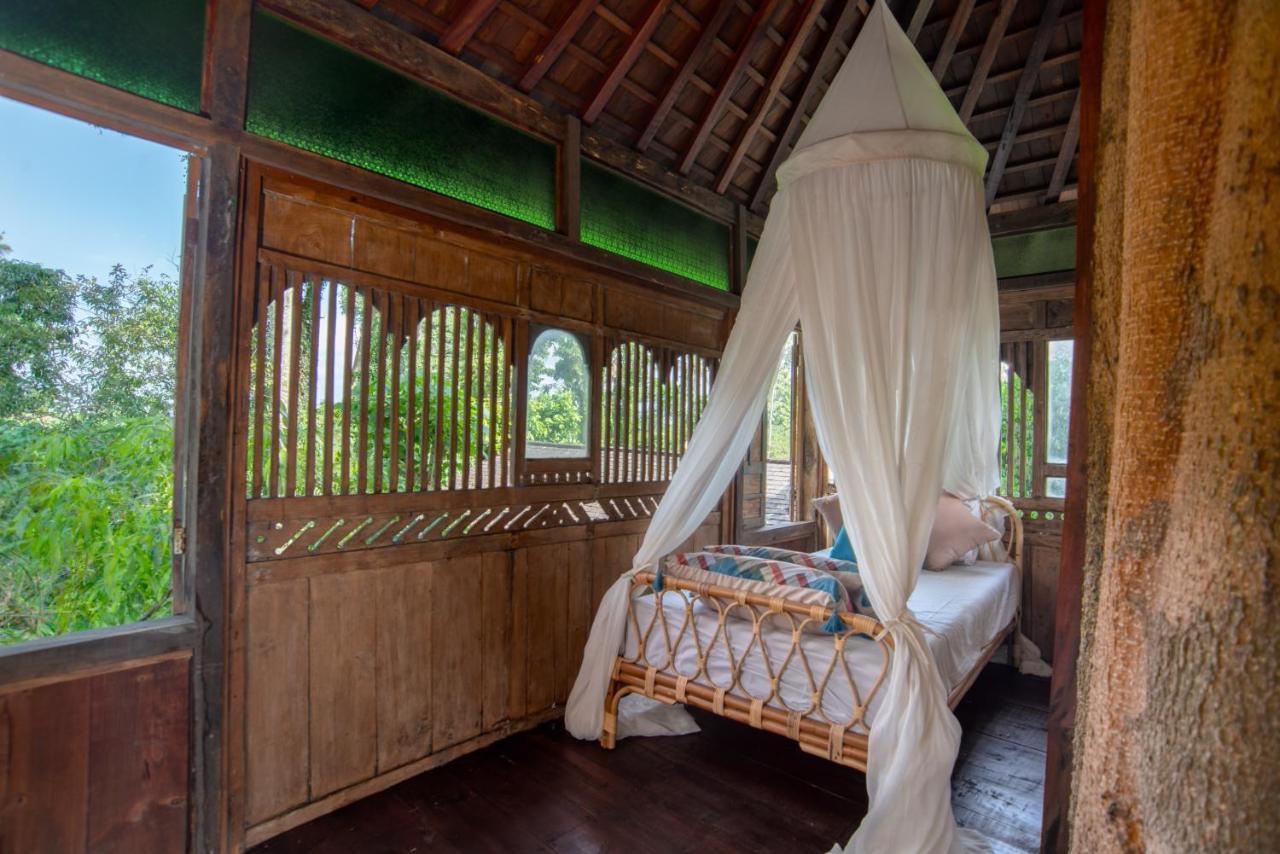 Green Tree House Ubud Esterno foto